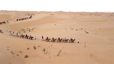 4k实拍宁夏沙坡头沙漠骆驼队mp44K视频素材下载-编号379640-潮点视频