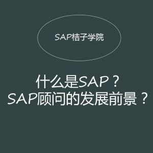SAP培训视频_免费高清最新SAP各模块培训视频-SAP桔子学院