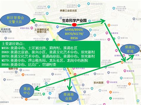 深圳大鹏部分公交线路临时改道、停运 恢复开行时间待定- 深圳本地宝