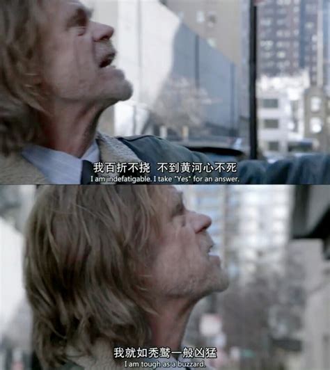 无耻之徒/shameless/美剧图片
