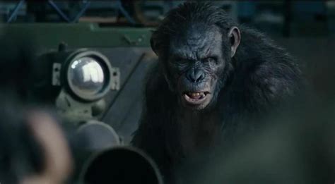 猩球崛起3: 本跟人类和睦相处的猿，失去至亲后开启暴走。