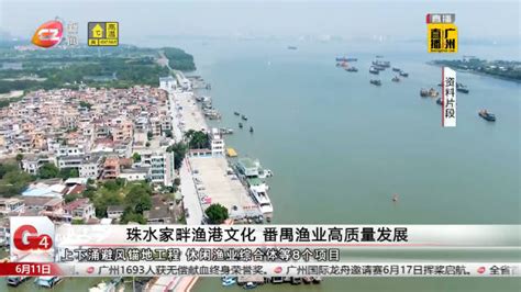 全市唯一！国家级渔港经济区今日在番禺正式落地启航|经济区|番禺区|渔业_新浪新闻