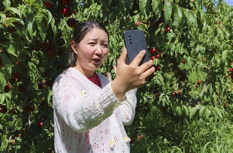 “新农人”黄稳：新的一年草莓果子还会更好些 - 头条新闻 - 湖南在线 - 华声在线