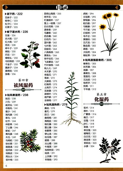 148种中草药图谱
