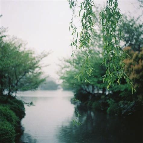 山下兰芽短浸溪，松间沙路净无泥，潇潇暮雨子规啼。谁道人生无再少