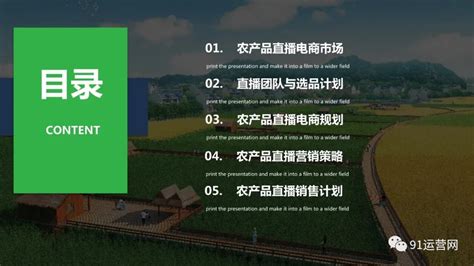 农产品营销策划方案Word模板下载_熊猫办公