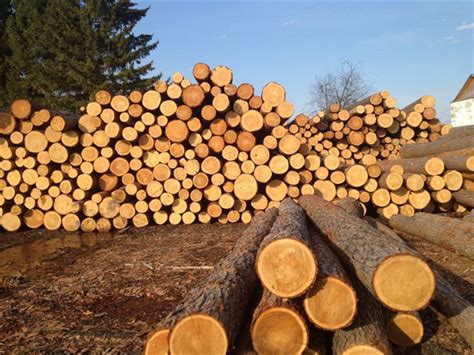 杉木木方的选择技巧，你知道多少呢？
