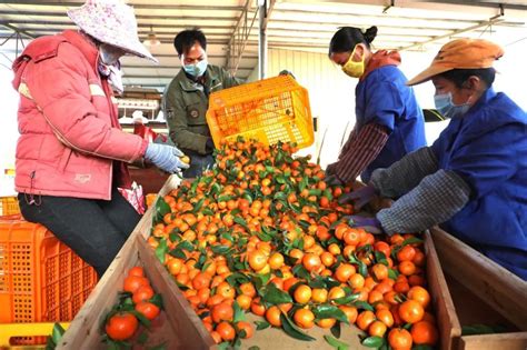 继蔬菜涨价以后，桂林的水果也涨价了！ - 食尚煮艺 桂林人论坛