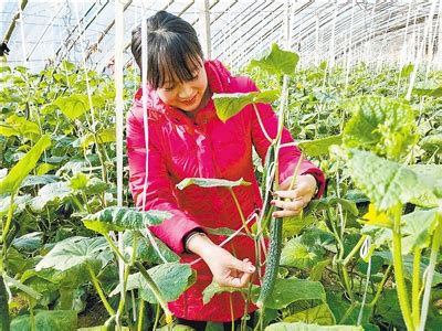 省水果产业体系首席专家来滁州市调研指导水果生产_滁州市农业农村局