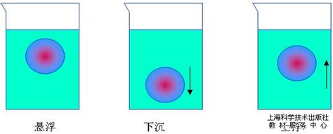 在图中作出悬浮于水中的小球受到的力的示意图。