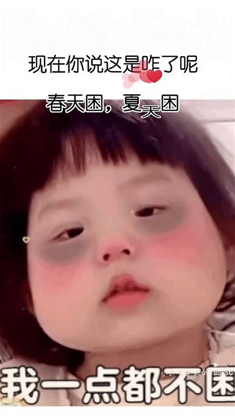 苗木困图片