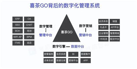 广西热作所茶叶研究团队赴百色开展项目实施工作-云科研-广西壮族自治区亚热带作物研究所