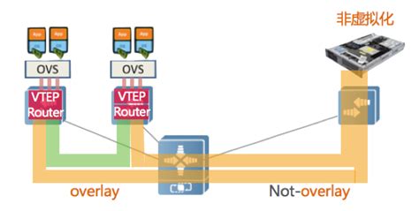 做了几年的网工也未必了解VLAN和VXLAN的区别，今天我来告诉你！-CSDN博客