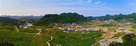全省国家储备林项目建设黔东南片区现场推进会在三穗县召开