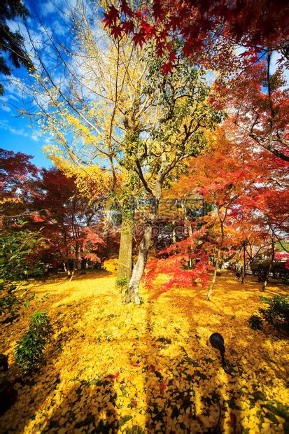 日本的滋贺县(Shiga)古名叫近江国_[标签:标题1]