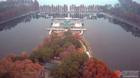武汉最美季·航拍东湖牡丹园“小围脖” - 中部崛起 - 东湖社区 - 荆楚网