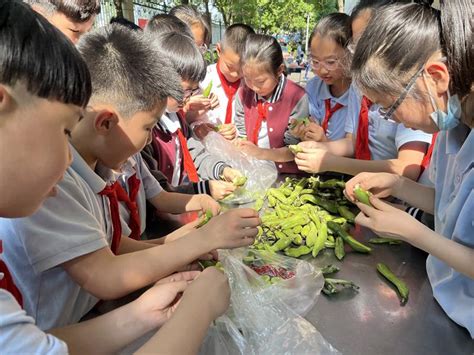 郑州市实验高级中学--实高生物老师变身“美食达人” 课堂飘出“牛乳”香