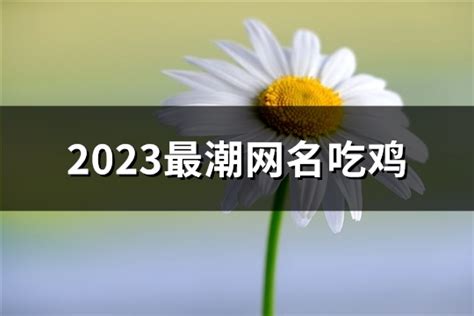 2023最潮网名吃鸡(共437个)-淘名吧网