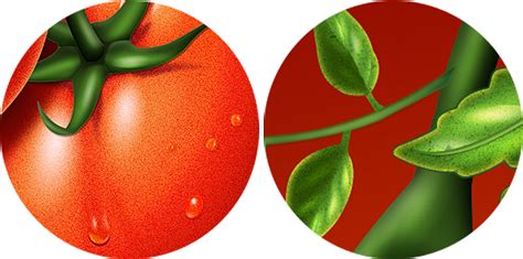 吃西红柿大赛|插画|儿童插画|小林的可爱多 - 原创作品 - 站酷 (ZCOOL)