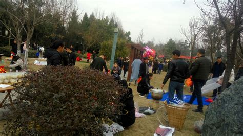 巴中正月十六的登高节，-巴中论坛-麻辣社区