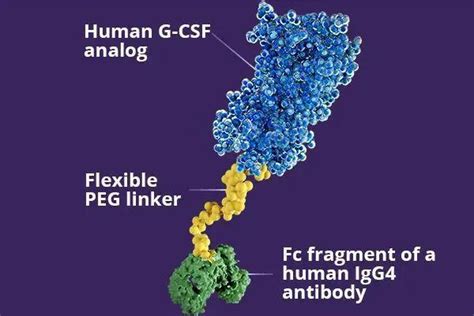 生物制剂不会增加癌症风险？这是真的吗？_生活常识-普及养生网