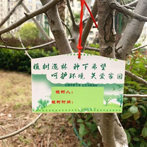 党员冬训植树种林，“望”亭亭如盖_江南时报