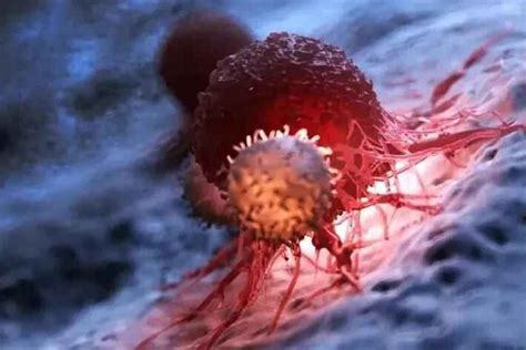 干细胞疗法丨让10种重大疾病不再可怕_凤凰网
