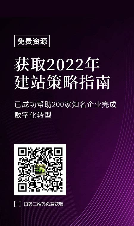 2022年网站建设策划方案.doc