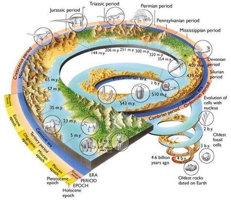 详解地球地质时代的发展史