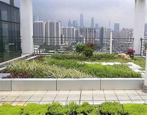 屋顶绿化_屋顶绿化案例_屋顶绿化案例_案例_上海登盛园林绿化工程有限公司