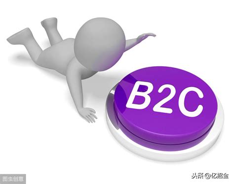 b2c是什么意思(B2C电商平台有哪些)-风水人