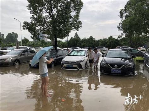 杭州暴雨上演连续剧，工地如何自救 - 土木在线