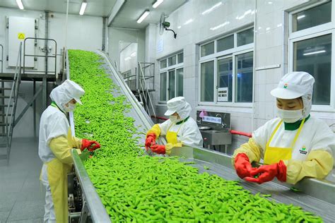 现代综合农业园区整体规划解决方案 - 上海邦伯 - 上海邦伯现代农业技术有限公司