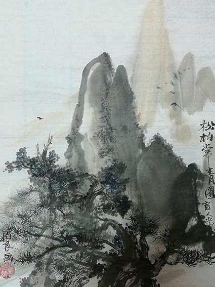 西安文景公园“难得一见”的侧柏开花人们常说松柏四季长青却有失开