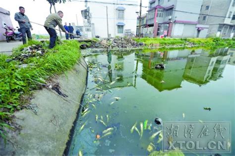 雨季鱼塘缺氧反底的护理案例分享-中国鳗鱼网