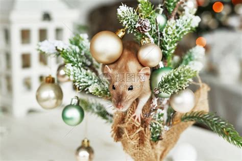 圣诞老鼠2020年新的象征鼠年年农历圣诞玩具高清图片下载-正版图片504179442-摄图网