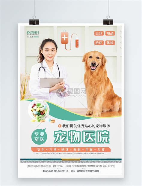 宠物医院商店海报模板素材-正版图片401607418-摄图网