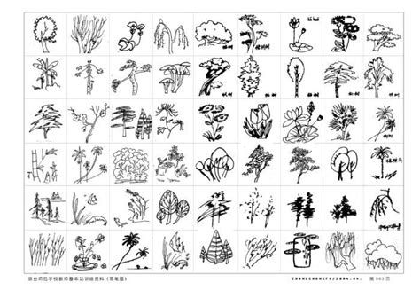 大自然的植物简笔画,植物画画简单,儿童植物简笔画图片_大山谷图库