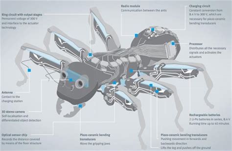 仿生机器蚂蚁Solidworks设计图纸模型_机械工具模型下载-摩尔网CGMOL
