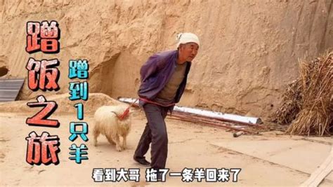 陕北汉子热情如火，决意买羊款待远客，买羊到烤羊肉全记录_高清1080P在线观看平台_腾讯视频