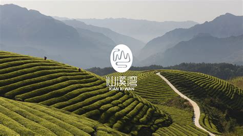 旅游体验师：创意生态文化游-温州网政务频道-温州网