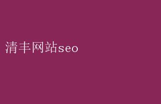 清丰网站SEO优化攻略：提升排名必备技巧 清丰网站seo _ 【IIS7站长之家】