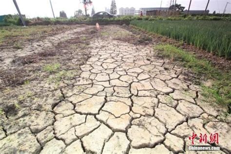 河南遭遇63年来最严重干旱 74万人吃水难-新闻中心-南海网