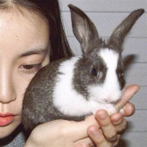 抱兔子古风头像女生动漫