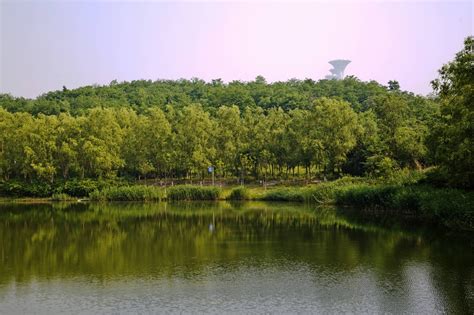 奥林匹克公园湿地,水景区,旅游景点,摄影,汇图网www.huitu.com