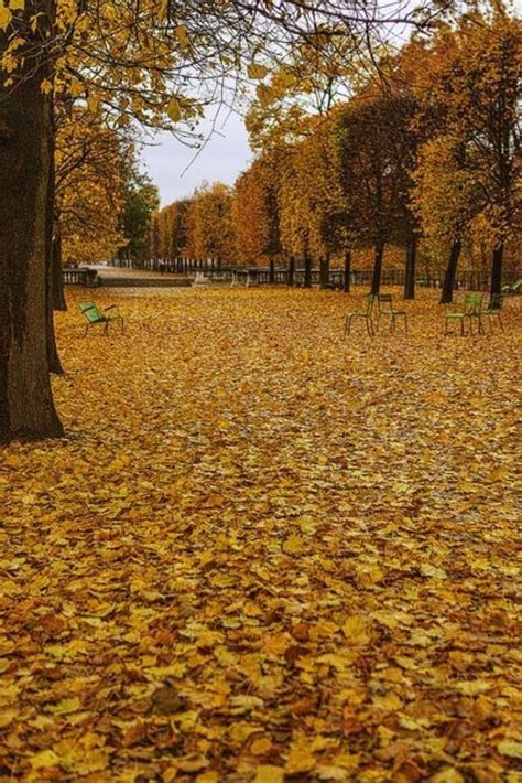 视觉盛宴：秋天的颜色_灵感频道_悦游全球旅行网