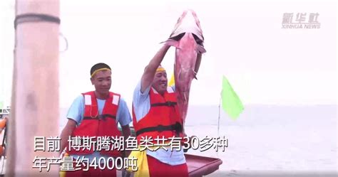 张网捕鱼高清图片下载_红动中国