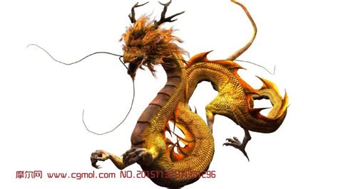 超帅神龙图图片