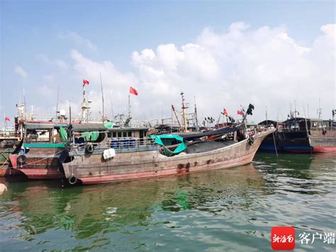 开渔啦！儋州3591艘渔船有序出海捕鱼-新闻中心-南海网