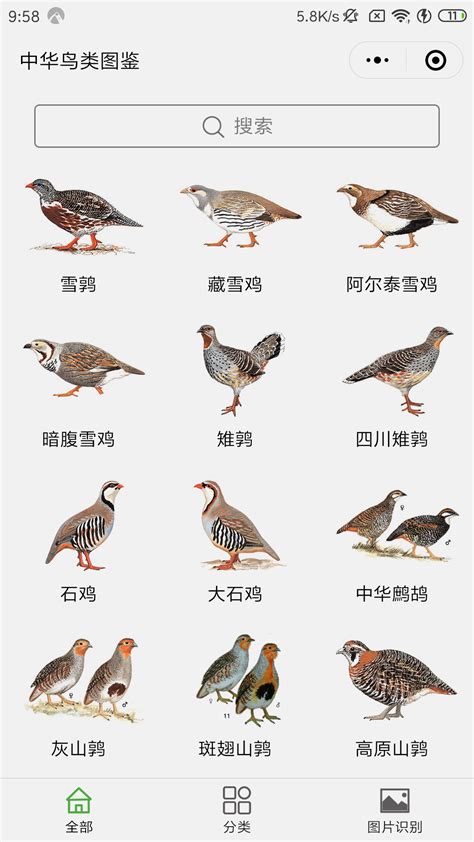 中国鸟类分类与分布名录_360百科